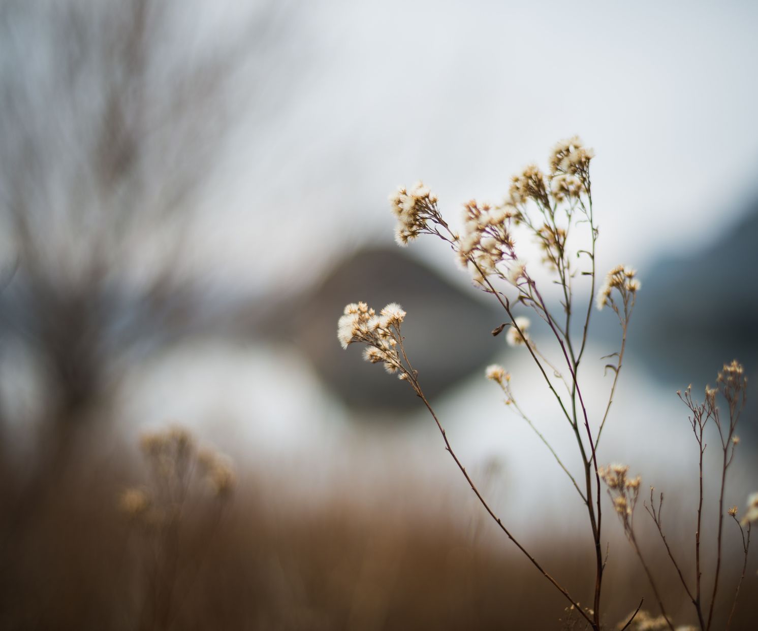 unsplash_lZ7fty3h_EM